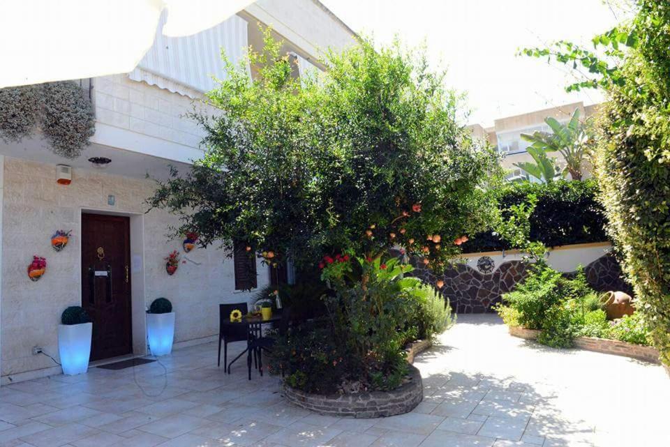 غالّيبولي Profumo Di Mare B&B المظهر الخارجي الصورة